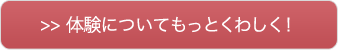 体験についてもっとくわしく！