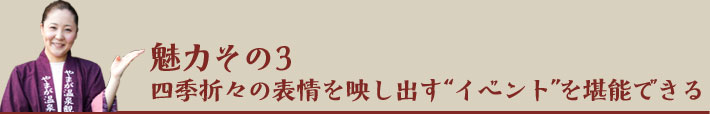 魅力その3四季折々表情を映し出すイベントを堪能できる