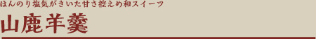 ほんのり塩気がきいた甘さ控えめ和スイーツ