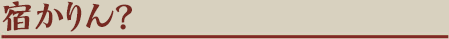 宿かりん？